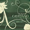 Album Artwork für The Big Fall von Cayetano