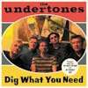 Illustration de lalbum pour Dig What You Need par The Undertones