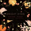 Illustration de lalbum pour Noise Floor par Bright Eyes