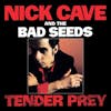 Album Artwork für Tender Prey von Nick Cave