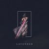 Illustration de lalbum pour Lavender par Half Waif