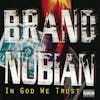 Illustration de lalbum pour In God We Trust par Brand Nubian