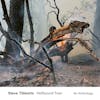 Album artwork for Hellbound Train by Steve Tibbetts