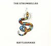 Illustration de lalbum pour Rattlesnake par Strumbellas