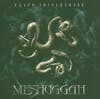 Illustration de lalbum pour Catch ThirtyThree par Meshuggah