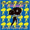 Album artwork for No Music On A Dead Planet by The Soup Dragons