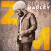 Illustration de lalbum pour Ziggy Marley par Ziggy Marley