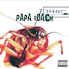 Illustration de lalbum pour Infest par Papa Roach