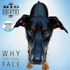 Album Artwork für Why The Long Face - RSD 2024 von Big Country