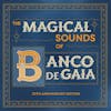 Album artwork for The Magical Sounds of Banco De Gaia: Ltd Edition 20th Anniversary by Banco De Gaia