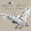 Illustration de lalbum pour Seven Swans par Sufjan Stevens