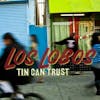 Album Artwork für Tin Can Trust von Los Lobos