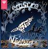 Album artwork for Nightbird by Erasure