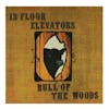 Album Artwork für Bull Of The Woods von Thirteenth Floor Elevators