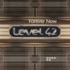 Album Artwork für Forever Now von Level 42