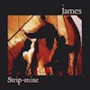 Illustration de lalbum pour Strip Mine par James