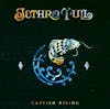 Album Artwork für Catfish Rising-Remaster von Jethro Tull