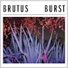 Illustration de lalbum pour Burst par Brutus