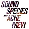 Album Artwork für Soundspecies & Ache Meyi von Soundspecies/Ache Meyi
