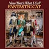 Illustration de lalbum pour Now That's What I Call Fantastic Cat par Fantastic Cat