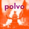 Illustration de lalbum pour Polvo par Polvo