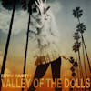 Album Artwork für Valley Of The Dolls von Brix Smith