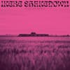 Illustration de lalbum pour Kings Left Behind par Ikebe Shakedown