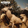 Album artwork for Our Love To Admire by Interpol