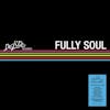 Album artwork for De-Lite Fully Soul by Various