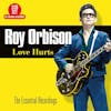 Illustration de lalbum pour Love Hurts par Roy Orbison