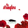 Illustration de lalbum pour 5 live 01 par The Stranglers