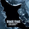 Album artwork for Black Frost by Chihei Hatakeyama