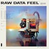 Album Artwork für Raw Data Feel von Everything Everything