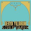 Album artwork for Dost 1 & 2 by Derya/Grup Simsek Yildirim