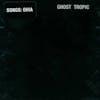 Album Artwork für Ghost Tropic von Songs:Ohia