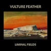 Illustration de lalbum pour LIMINAL FIELDS par Vulture Feather