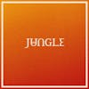 Illustration de lalbum pour Volcano par Jungle