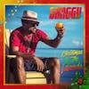 Album Artwork für Christmas in the Islands von Shaggy