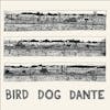 Illustration de lalbum pour Bird Dog Dante par John Parish