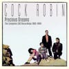 Album Artwork für Complete CBS Recordings 1985-1990 von Cock Robin