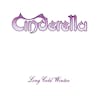 Album Artwork für Long Cold Winter von Cinderella