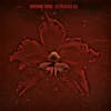 Album Artwork für Burning Red von Machine Head