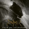 Illustration de lalbum pour Panther par Pain Of Salvation