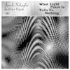 Album artwork for What Light There Is Tells Us Nothing by Janek Schaefer (For Robert Wyatt)
