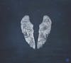 Illustration de lalbum pour Ghost Stories par Coldplay