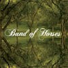 Album Artwork für Everything All The Time von Band Of Horses