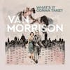 Illustration de lalbum pour WHAT'S IT GONNA TAKE par Van Morrison