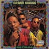 Album artwork for One for All by Brand Nubian