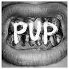 Illustration de lalbum pour Pup par Pup