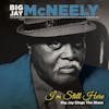 Album artwork for I'm Still Here-Big Jay Sings The Blues by Big Jay McNeely